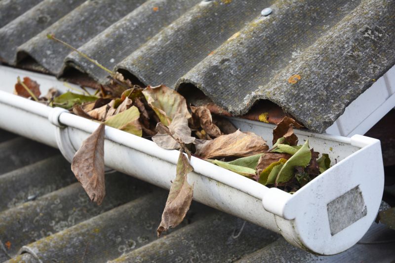 Clogged Gutter with Debris