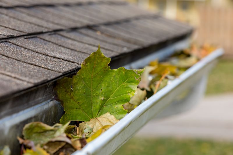 Gutter Leaves Removal