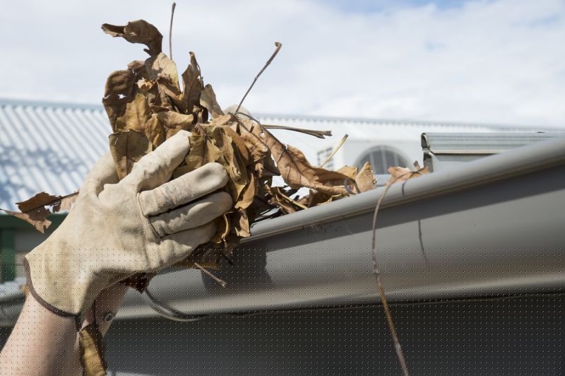 Gutter Leaves Removal