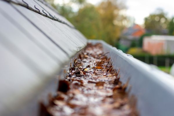 Cost of Commercial Gutter Cleaning in Hopkins