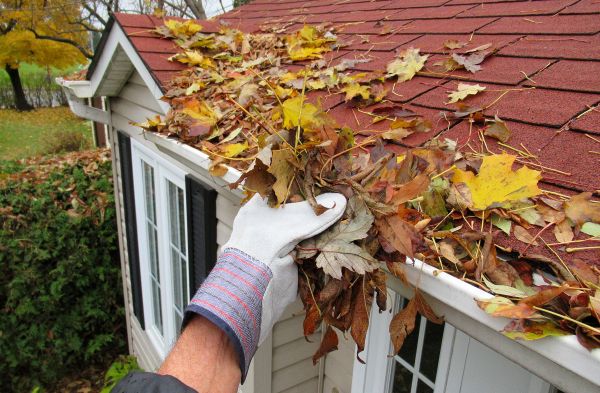 Cost of Emergency Gutter Cleaning in Hopkins