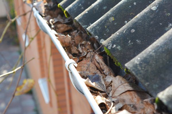 Cost of Home Gutter Cleaning in Hopkins