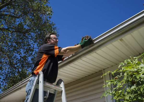 Cost of Eavestrough Clearing in Hopkins