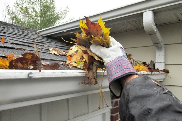 Cost of Gutter Blockage Removal in Hopkins